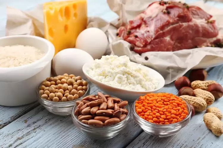 products for protein diets